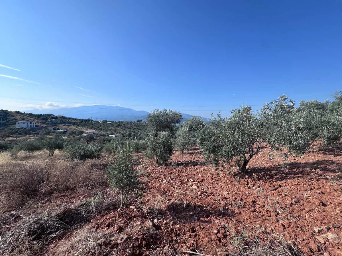 Property image 21