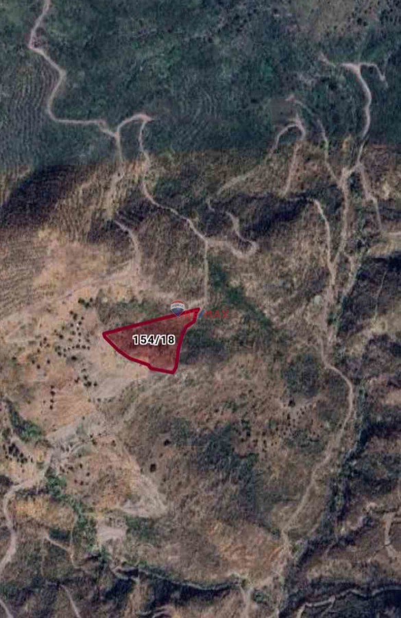 MUĞLA MILAS BOZALAN'DA SATILIK ZEYTINLI TARLA