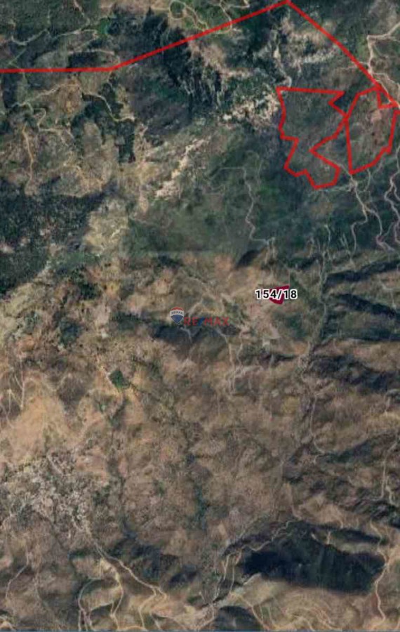 MUĞLA MILAS BOZALAN'DA SATILIK ZEYTINLI TARLA