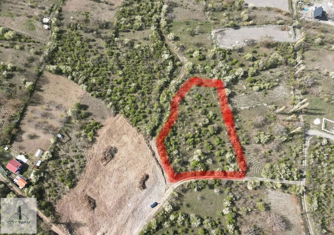 ÇORUM MERKEZ BOĞABAĞI KÖYÜNDE EV YAPILABİLİR FIRSATT BAHÇE