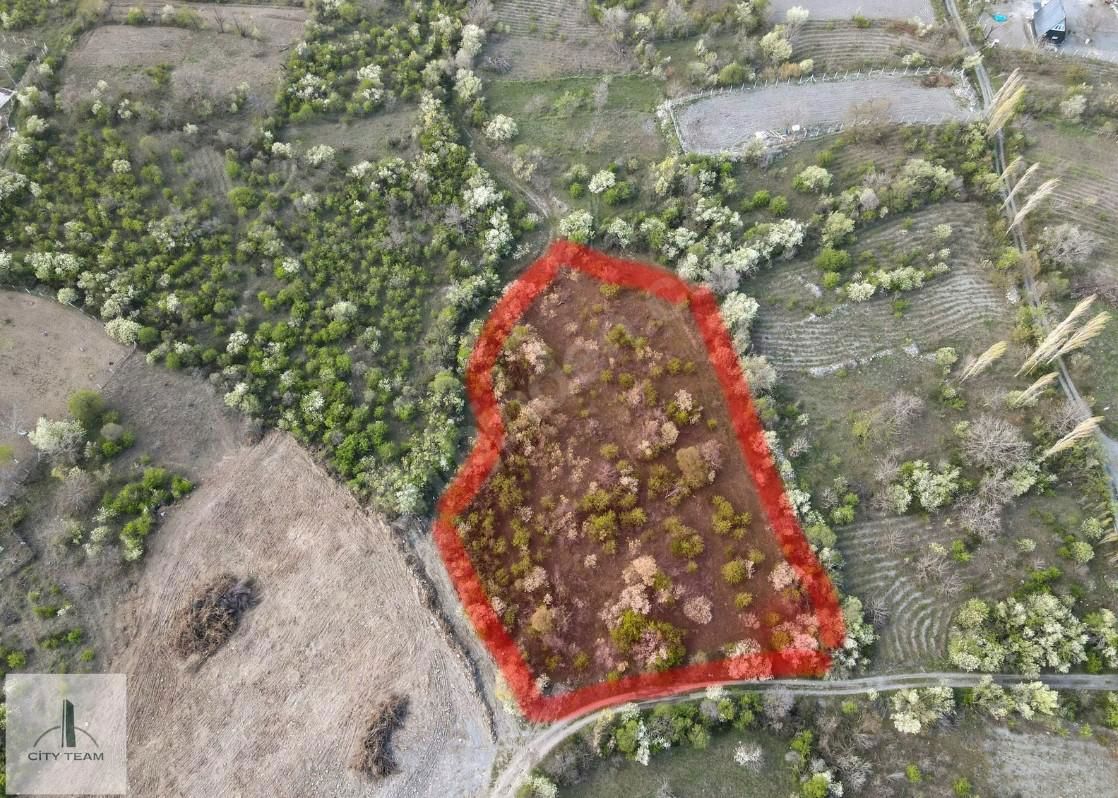 ÇORUM MERKEZ BOĞABAĞI KÖYÜNDE EV YAPILABİLİR FIRSATT BAHÇE