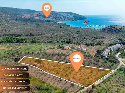 ÇANAKKALE AYVACIK BABAKALE 5848 M2 SATILIK ZEYTINLIK VE BAHÇEEVI