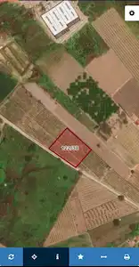 YALOVA ALTINOVA HERSEK TE 5056 M2 FIRSAT ARSA