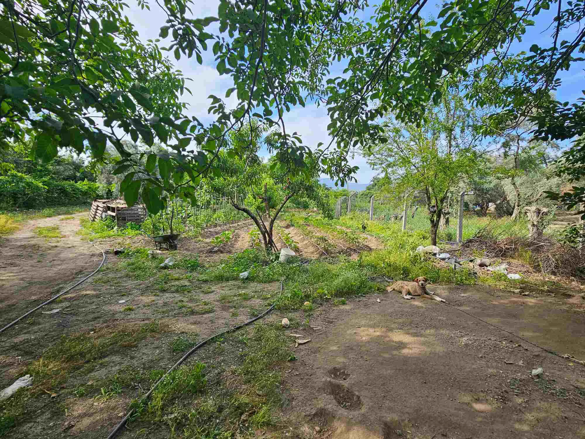 Property image 11