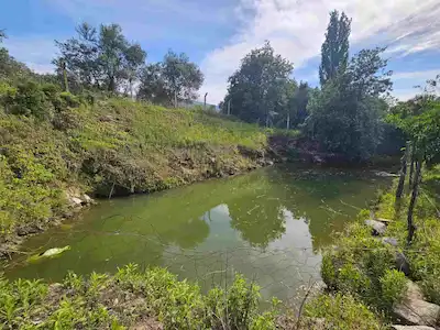 TİRE KARACA ALİ’DE MERKEZE 5 DAKİKA HAZIR DÜZEN SATILIK BAHÇE VE EVİ