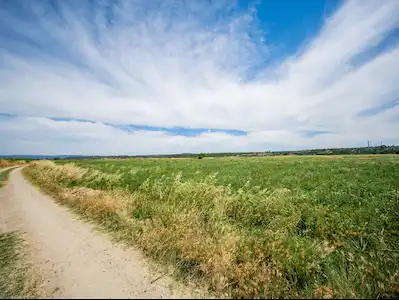 ÇANAKKALE MERKEZ HALILELI KÖYÜ SATILIK 12.258 M2 TARLA