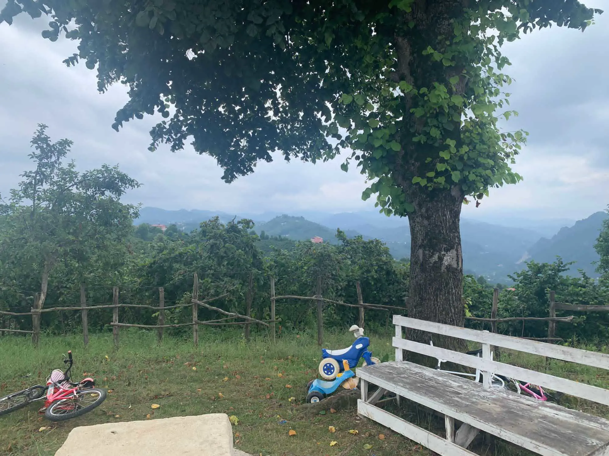 Property image 17