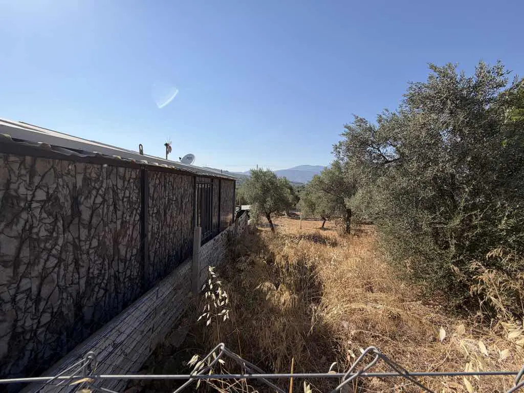 Property image 16