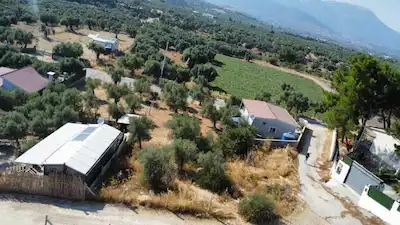 TORBALI DİRMİL MAH SATILIK 375 M² ZEYTİNLİK BAHÇE