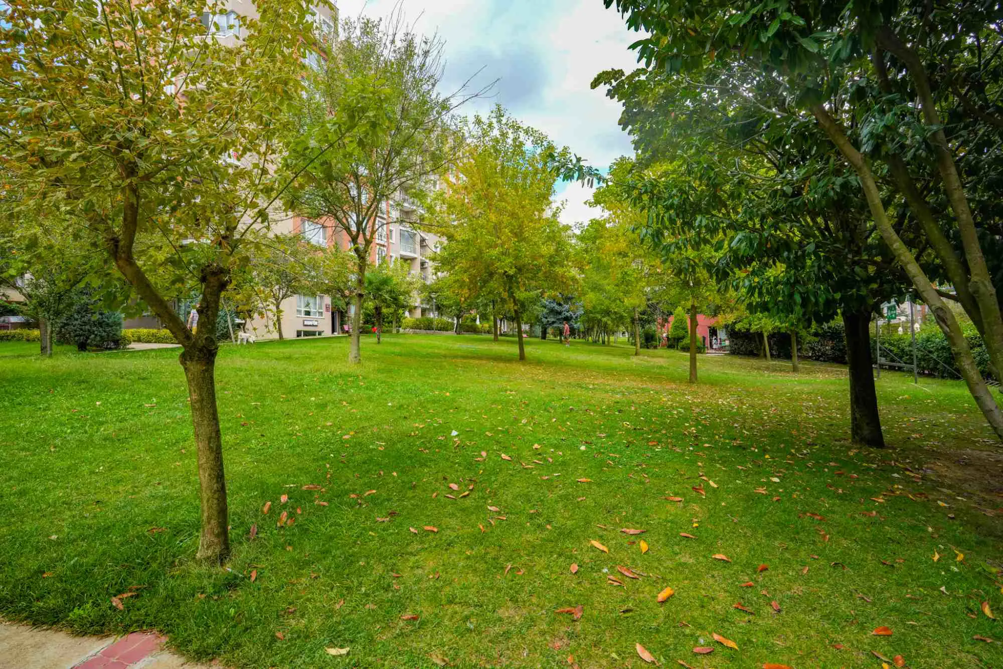 Property image 24