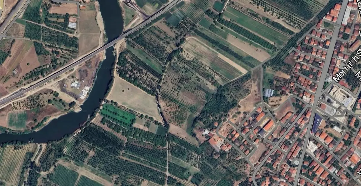 SAKARYA ALİFUAT PAŞA'DA MÜKEMMEL CEVİZ BAHÇESİ