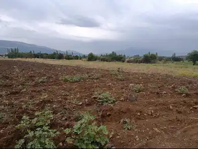BEYAĞAÇ'TA SATILIK ACİL FIRSAT YATIRIMLIK FIRSAT TARLA