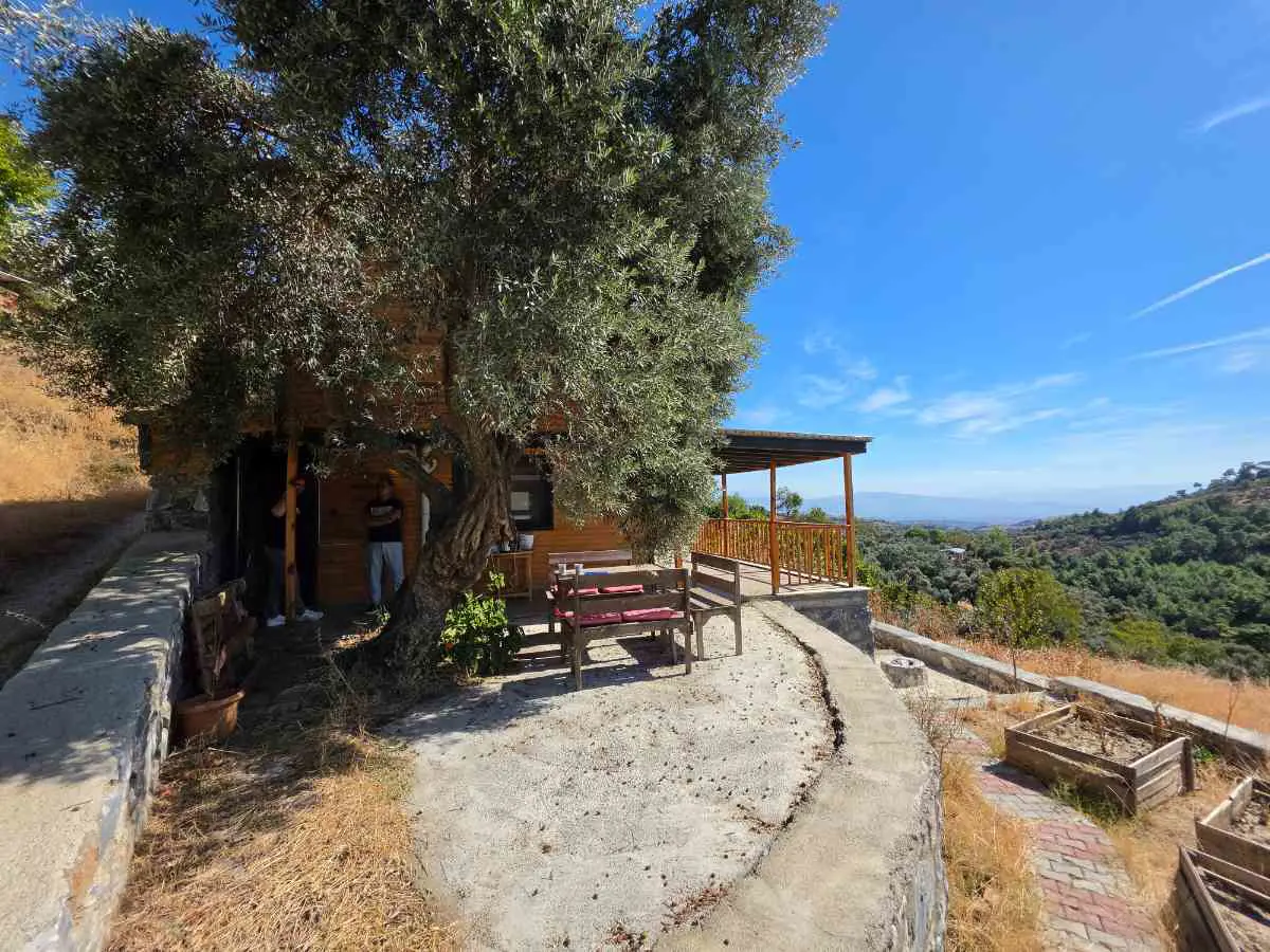 Property image 7