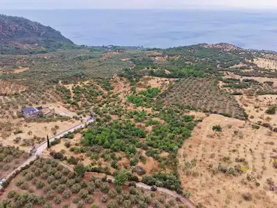ÇANAKKALE AYVACIK ASSOS KOZLU KÖYÜ'NDE PANAROMİK DENİZ MANZARALI SATILIK TARLA