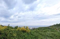 YALOVA ÇINARCIK KARPUZDERE MH. DENİZ MANZARALI SATILIK 552 M2  İMARLI ARSA