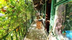 FATIH SAMATYA RESTORANLAR BÖLGESINDE SATILIK 2 KATLI EV/İŞYERI