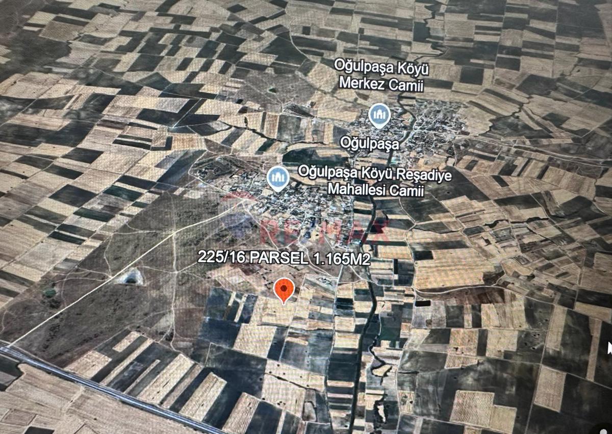 EDİRNE HAVSA OĞULPAŞA KÖYÜ SATILIK 1.165 M2 MÜSTAKİL TARLA