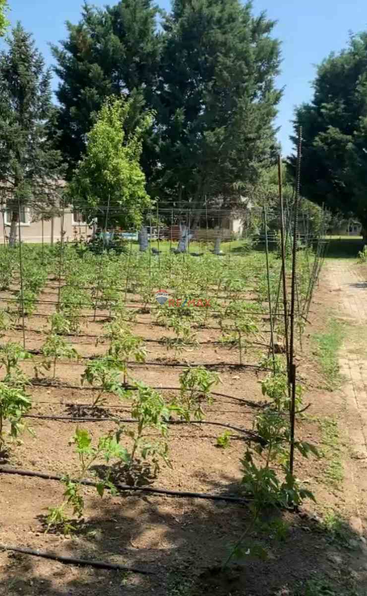 AMBARDERE/ÇERKEZKÖY SATILIK IMARLI ARSA