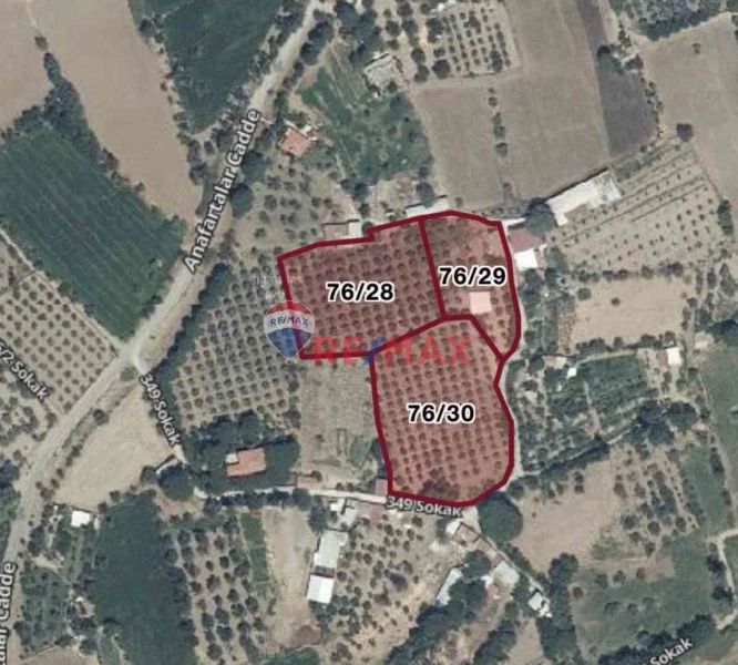 BERGAMA ERTUĞRUL MAHALLESİ SATILIK 4.427 M² BAĞ & TARLA