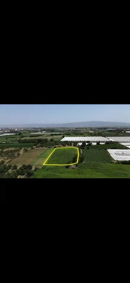 AYDIN'IN İNCİRLİOVA İLÇESİNDE, DOĞAYLA İÇ İÇE HUZURLU BİR YAŞAM ALANI