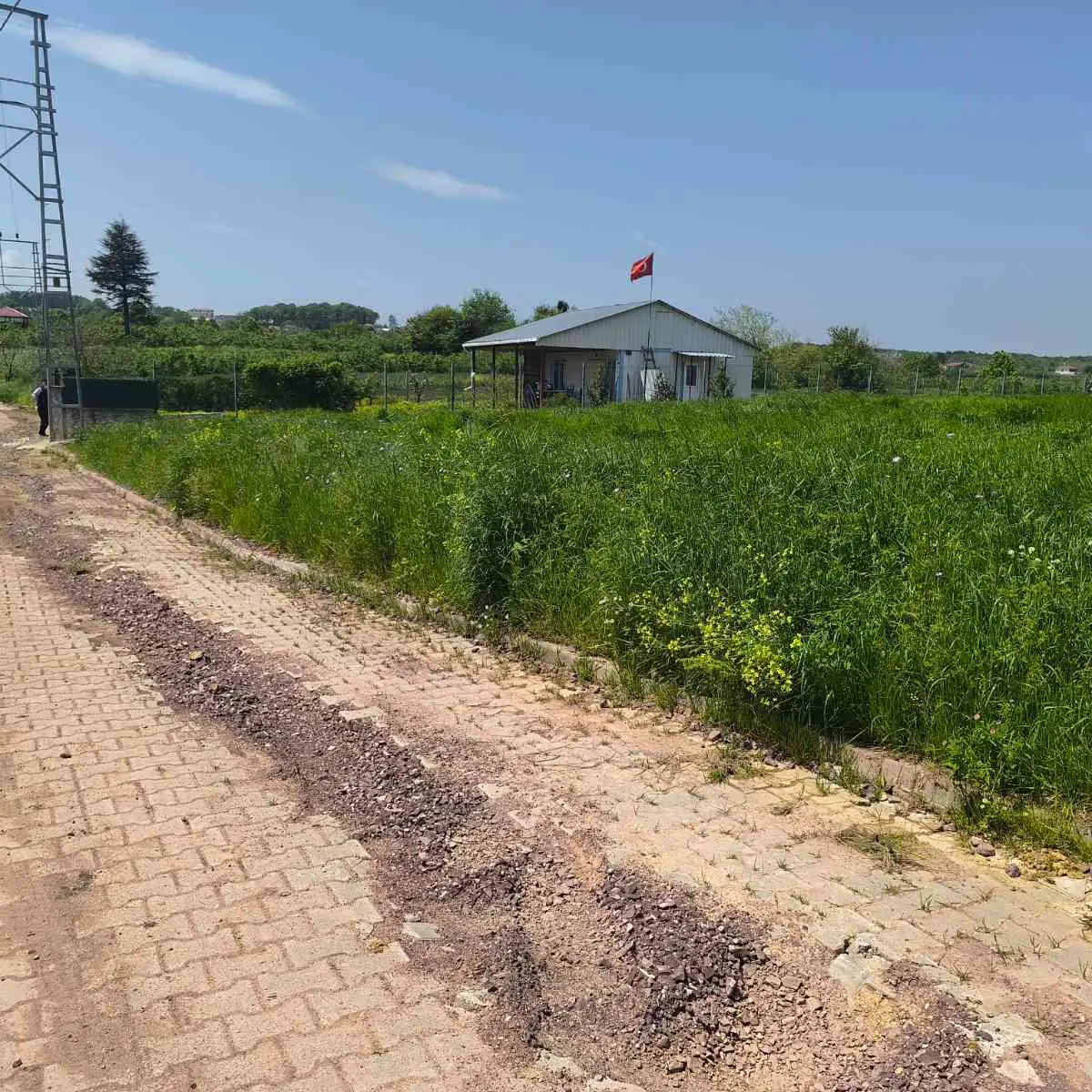 Property image 7