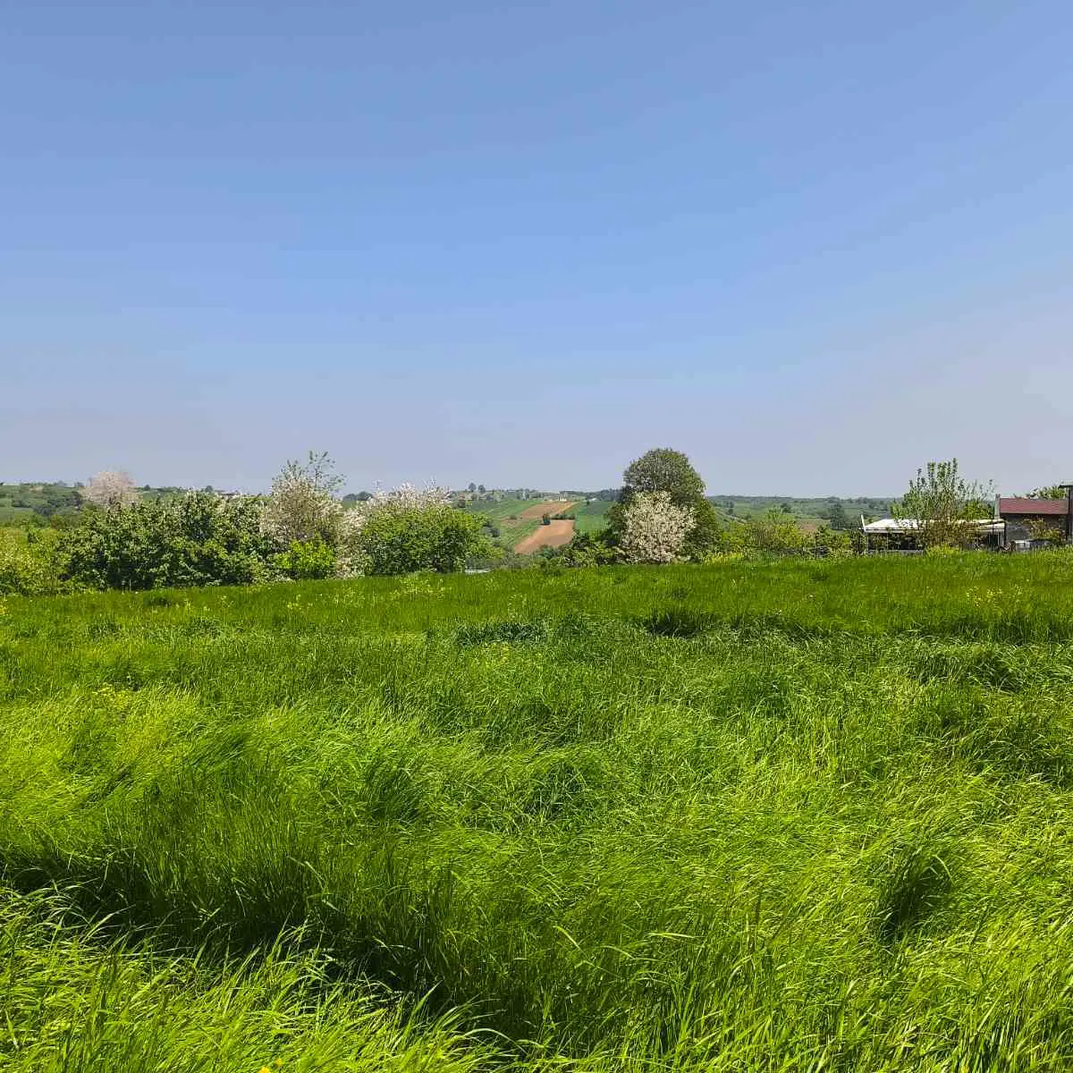 Property image 37