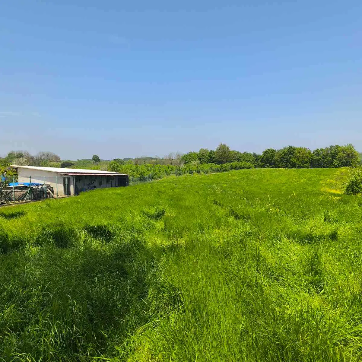 Property image 38