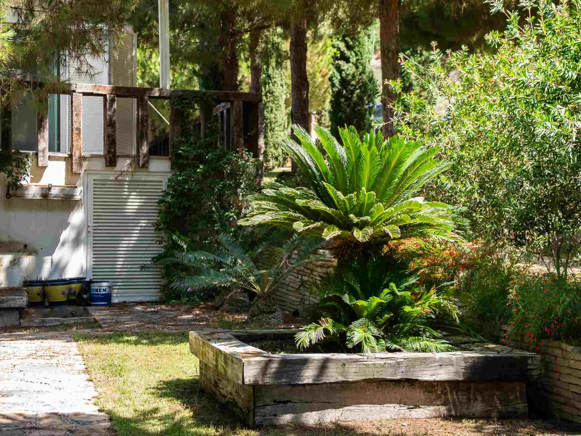 Property image 21