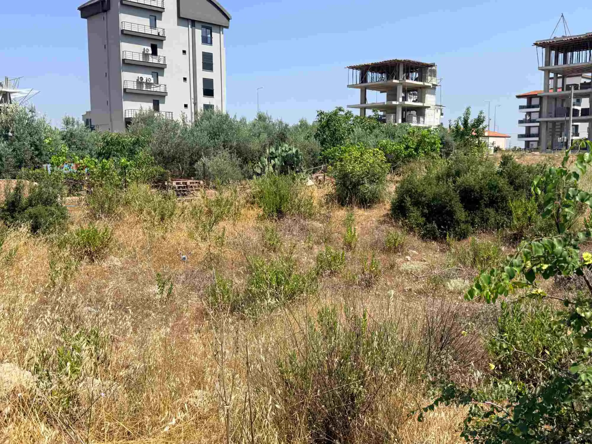 Property image 30