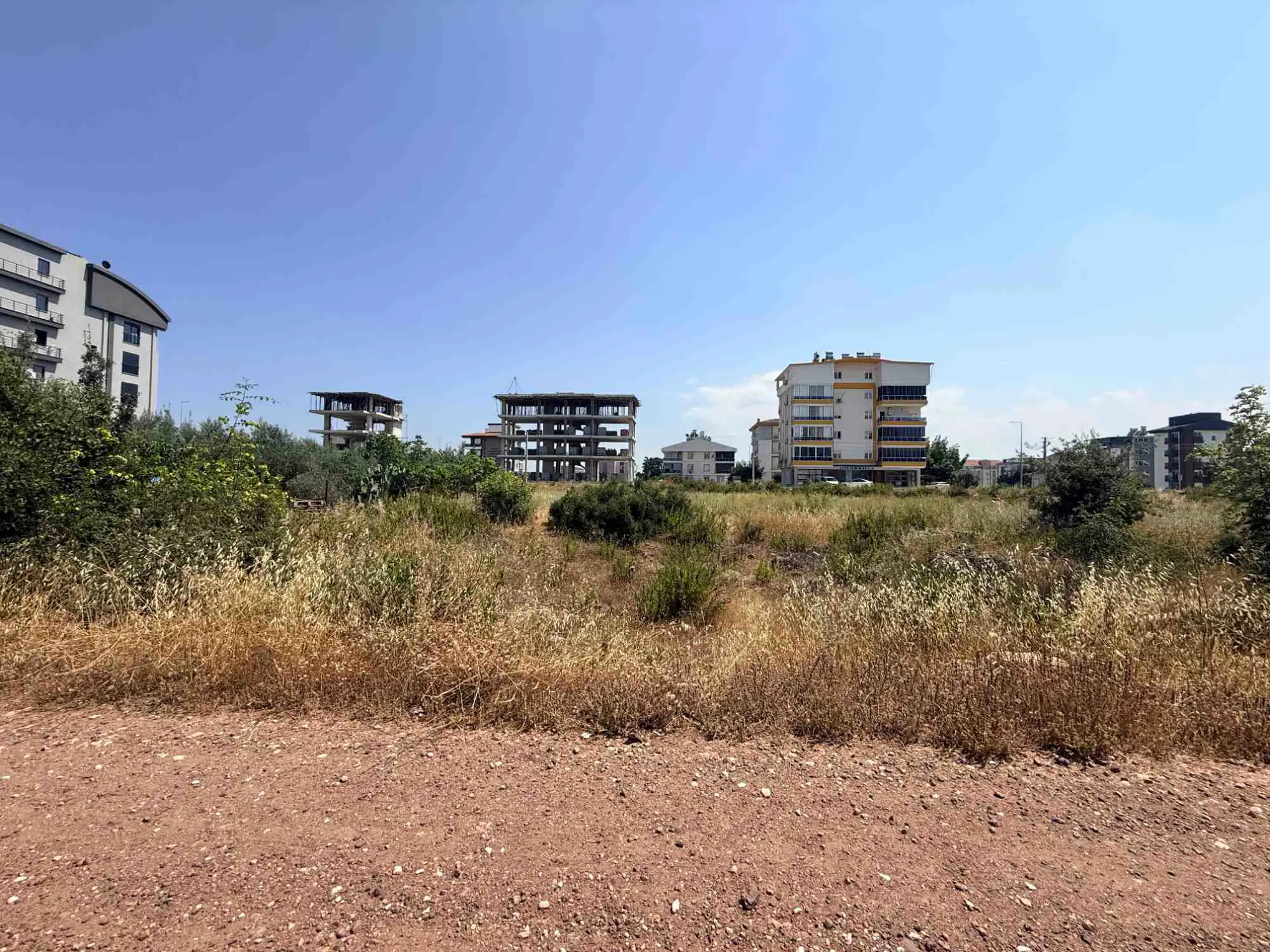 Property image 19