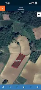 KAYNARCA GÖLCE'DE KUPON TARLA