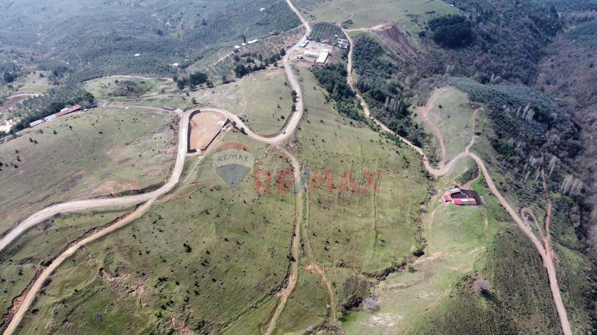 Bursa Orhangazi Yeniköy Tek Tapu Büyük Parsel Ana Yola Cephe