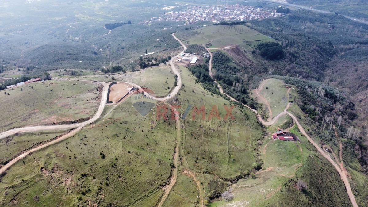 Bursa Orhangazi Yeniköy Tek Tapu Büyük Parsel Ana Yola Cephe