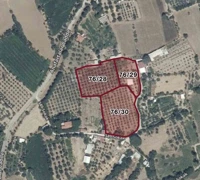BERGAMA ERTUĞRUL MAHALLESİ İÇİNDE EVİ OLAN 2.512 M² BAĞ & TARLA