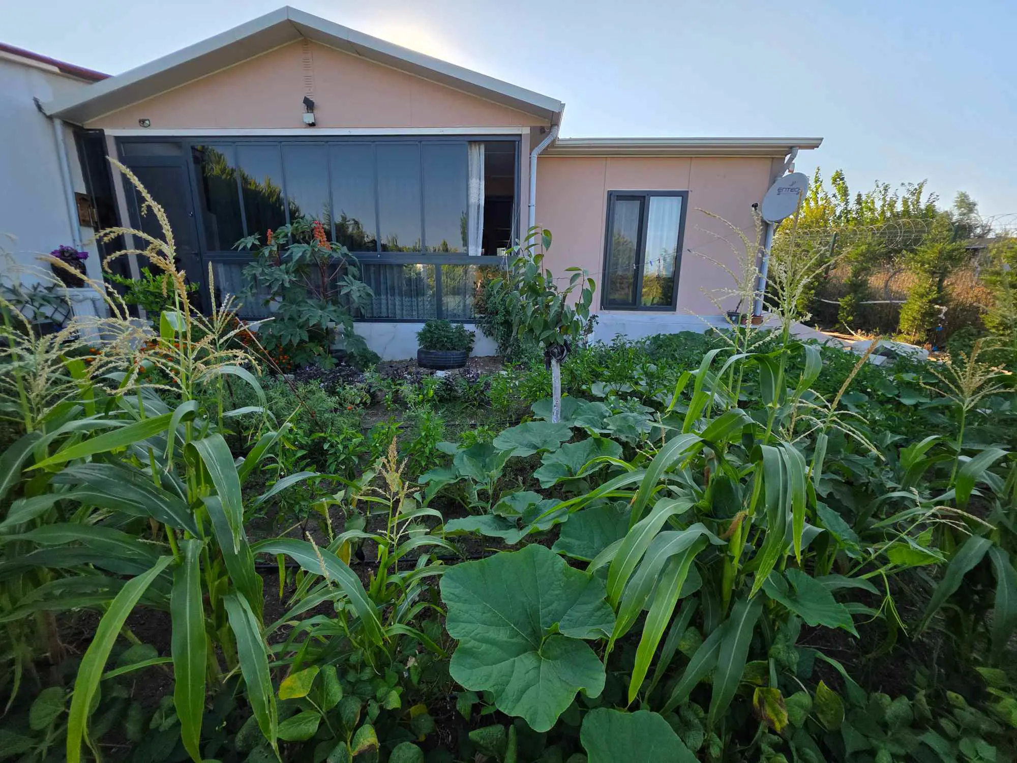 Property image 16