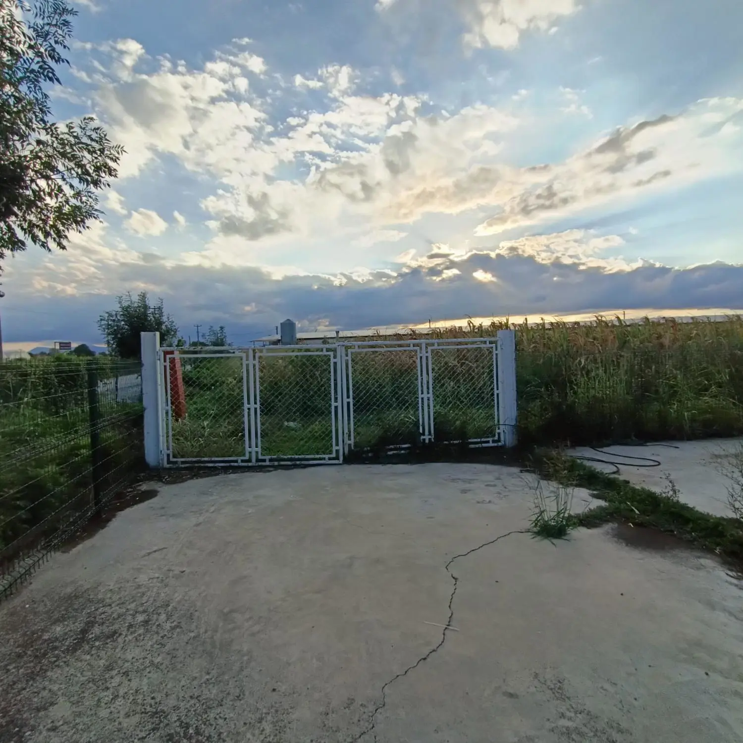 Property image 19