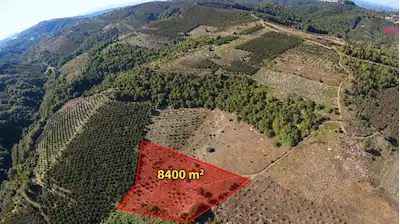 REMAX SOFT'TAN KARASU YASSIGEÇİT'TE 8400 M2 SATILIK FINDIK BAHÇESİ
