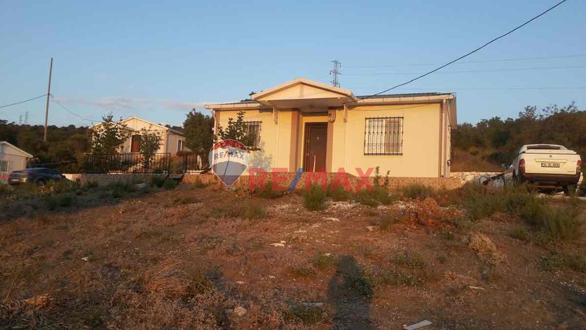 🏡 MARMARA ADASI OKULLAR MAHALLESİ’NDE 5.650 M² ZEYTİNLİK İÇİNDE 100 M² MÜSTAKİL EV!