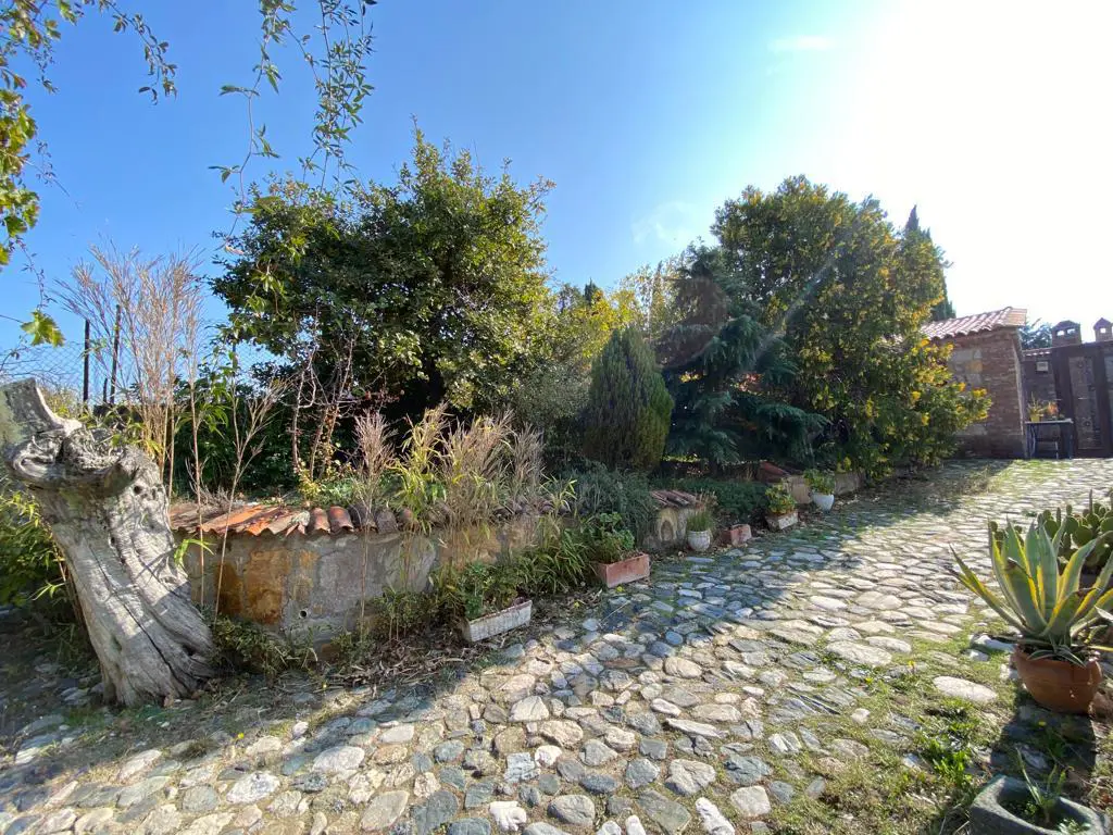 Property image 24