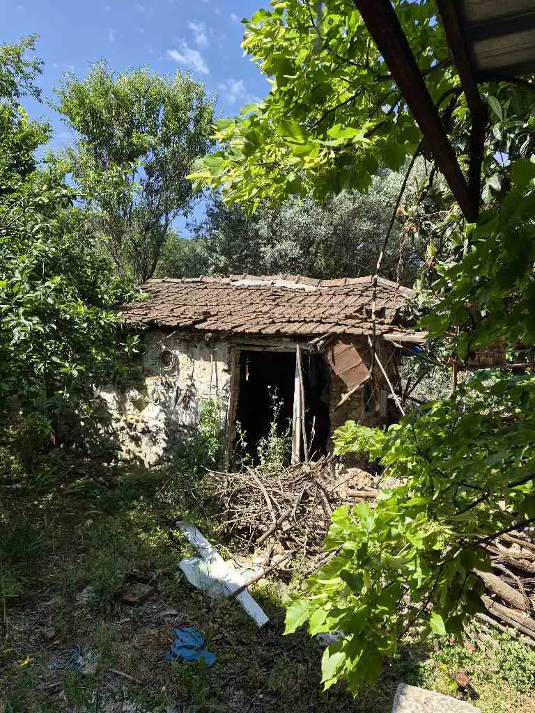 Property image 27