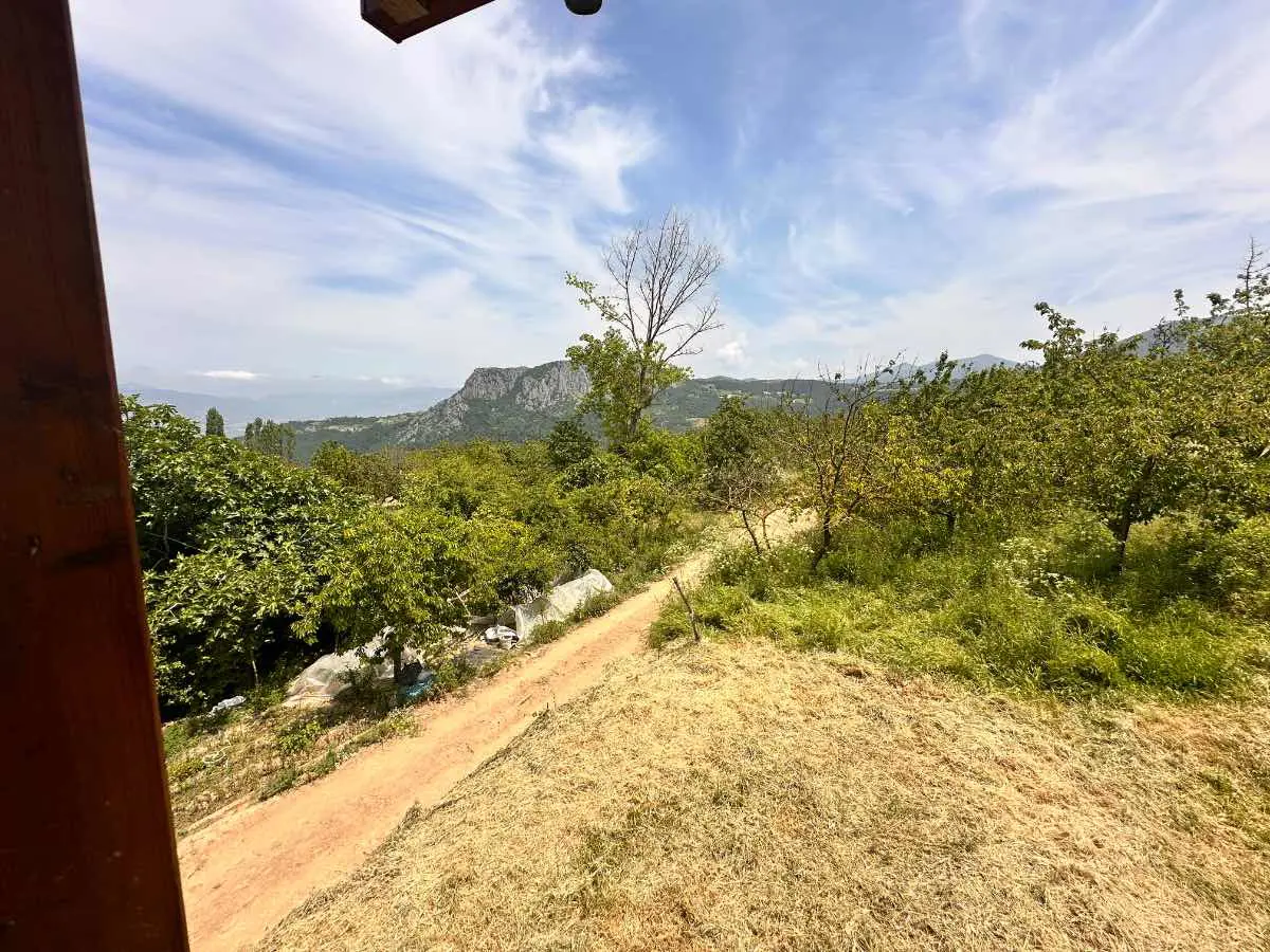 Property image 40