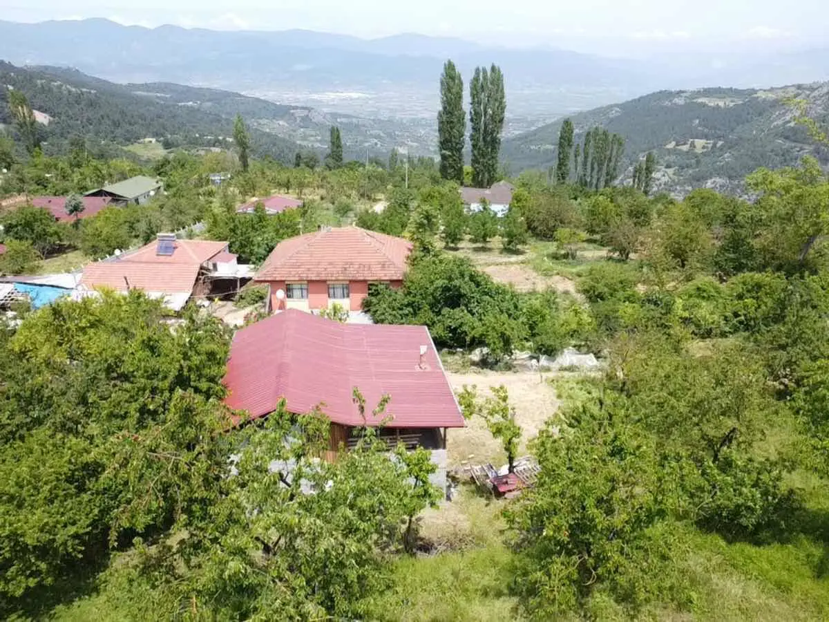 Property image 8