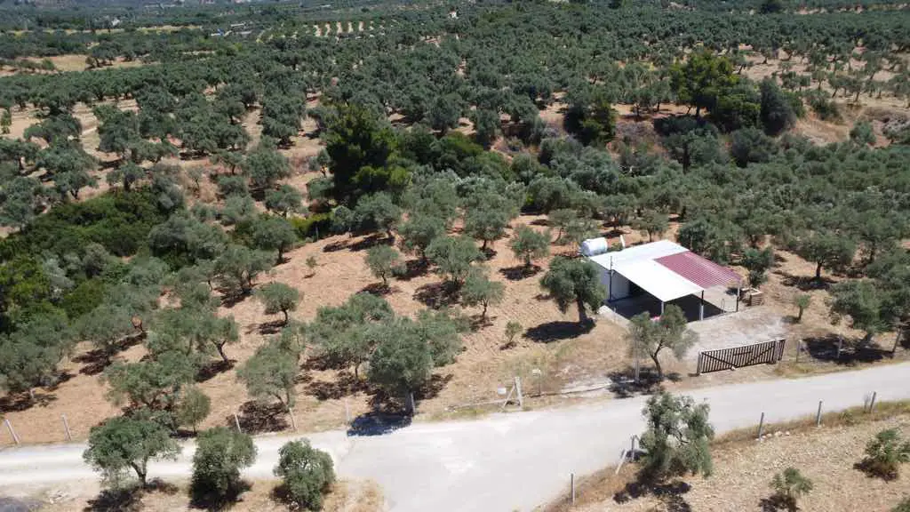Property image 32