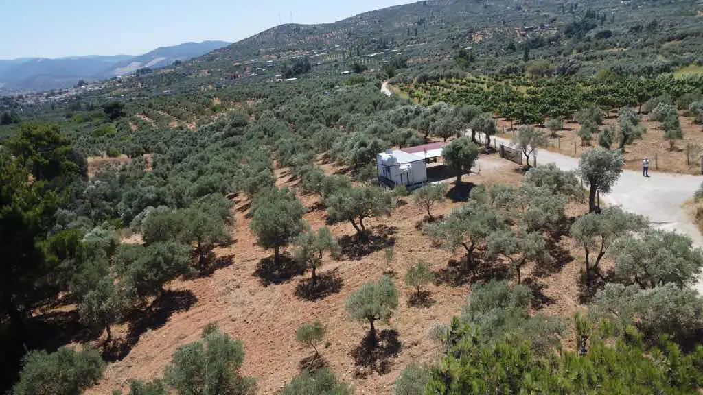 Property image 23