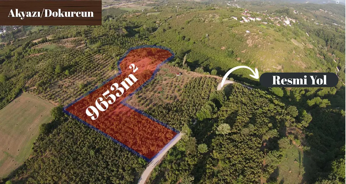 REMAX SOFT'TAN AKYAZI DOKURCUN'DA 9.653 M² VERİMLİ FINDIKLIK RESMİ YOL CEPHELİ
