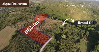REMAX SOFT'TAN AKYAZI DOKURCUN'DA 9.653 M² VERİMLİ FINDIKLIK RESMİ YOL CEPHELİ