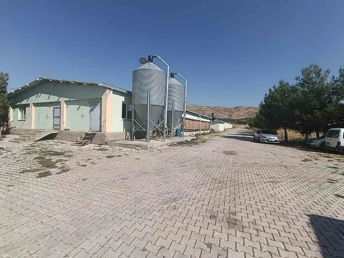 Property image 30