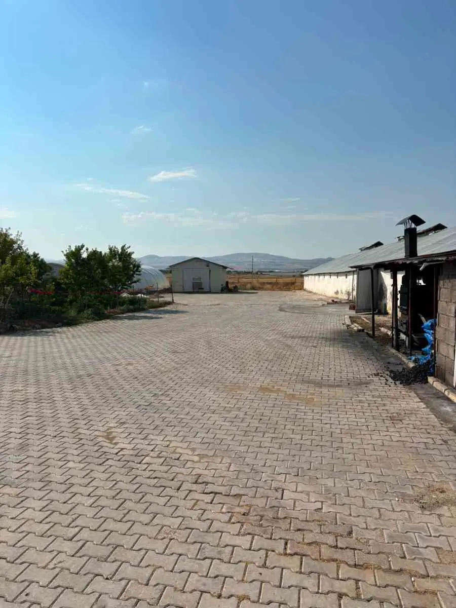 Property image 16
