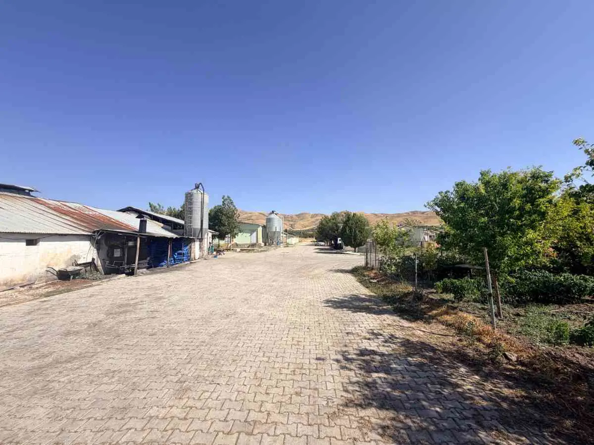 Property image 19