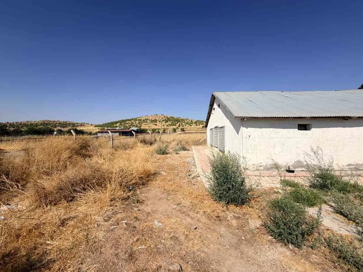 Property image 23